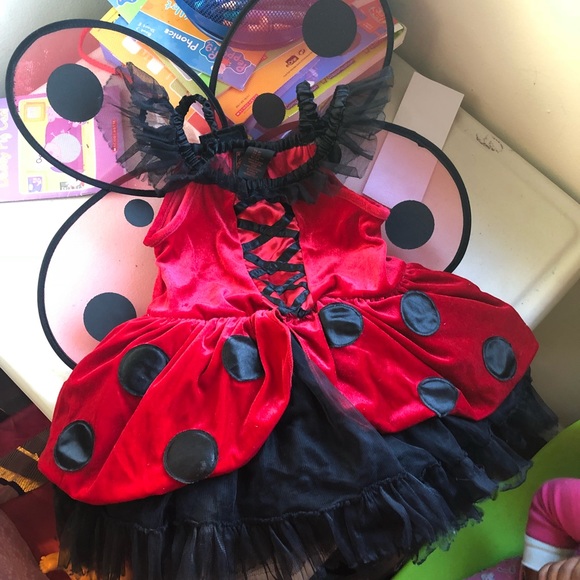 Koala Kids Lady bug costume - Picture 1 of 4